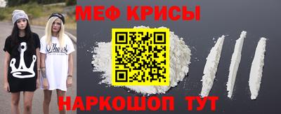 стаф Гатчина