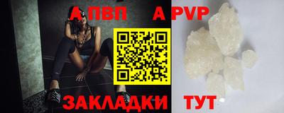 стаф Гатчина
