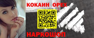 стаф Гатчина