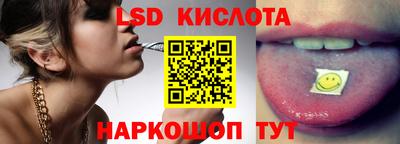 стаф Гатчина
