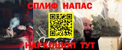 тгк Гай