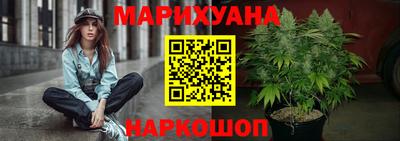тгк Гай