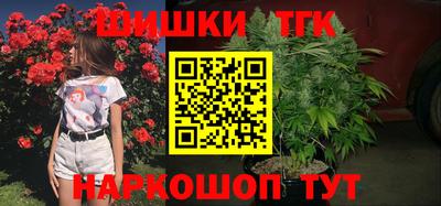 стаф Гатчина