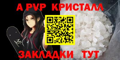 тгк Гай