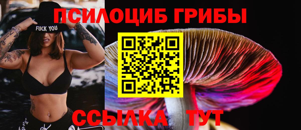 Псилоцибиновые грибы Cubensis  Вход с VPN  Псилоцибиновые грибы прущие грибы  Балахна 