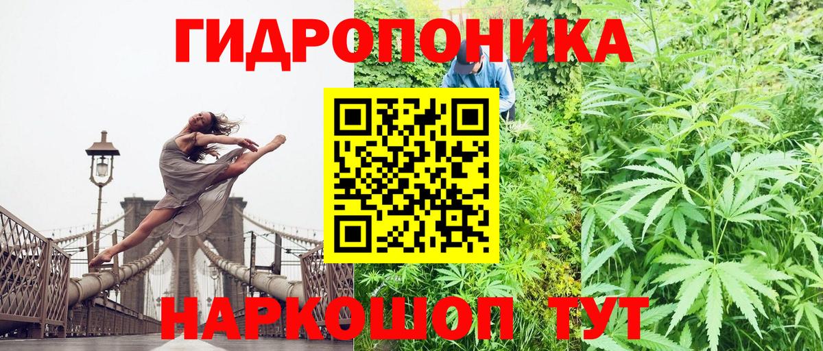 МАРИХУАНА ГИДРОПОН  Каннабис планчик  Балахна  Вход с VPN  Канабис конопля  Бошки Шишки Ganja 
